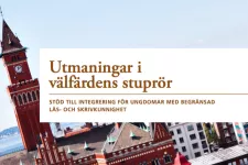Framsidan av rapporten "Utmaningar i välfärdens stuprör".
